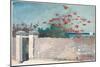 A Wall, Nassau, 1898 (W/C and Graphite on Paper)-Winslow Homer-Mounted Giclee Print