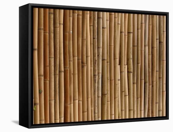 A Wall of Bamboo Stalks-null-Framed Stretched Canvas