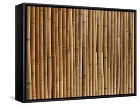A Wall of Bamboo Stalks-null-Framed Stretched Canvas