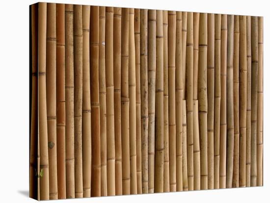 A Wall of Bamboo Stalks-null-Stretched Canvas