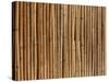 A Wall of Bamboo Stalks-null-Stretched Canvas
