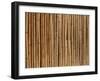 A Wall of Bamboo Stalks-null-Framed Photographic Print