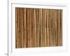 A Wall of Bamboo Stalks-null-Framed Photographic Print