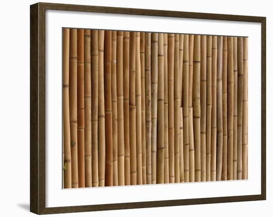 A Wall of Bamboo Stalks-null-Framed Photographic Print