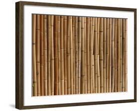 A Wall of Bamboo Stalks-null-Framed Photographic Print