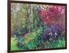 A Wander round the Garden-Sylvia Paul-Framed Giclee Print