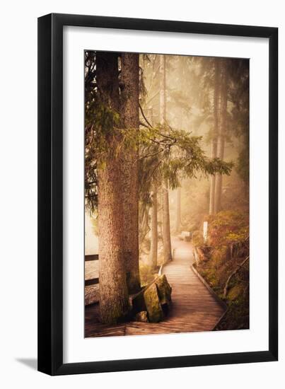A Warm Welcome-Philippe Sainte-Laudy-Framed Photographic Print