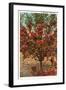 A Washington Apple Tree-null-Framed Art Print
