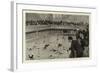 A Water-Polo Match at the Crown Baths, Kennington Oval-null-Framed Giclee Print