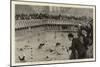 A Water-Polo Match at the Crown Baths, Kennington Oval-null-Mounted Giclee Print