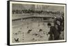 A Water-Polo Match at the Crown Baths, Kennington Oval-null-Framed Stretched Canvas