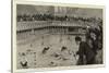 A Water-Polo Match at the Crown Baths, Kennington Oval-null-Stretched Canvas