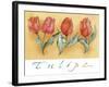 A Watercolor of Four Red Tulips-Maria Trad-Framed Giclee Print