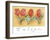 A Watercolor of Four Red Tulips-Maria Trad-Framed Giclee Print