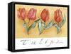 A Watercolor of Four Red Tulips-Maria Trad-Framed Stretched Canvas