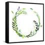 A Watercolor Wreath Made of Field Meadow Herbs,Plants,Twigs;A Hand Painted Illustration; a Green Ro-Nechayka-Framed Stretched Canvas