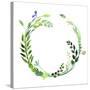 A Watercolor Wreath Made of Field Meadow Herbs,Plants,Twigs;A Hand Painted Illustration; a Green Ro-Nechayka-Stretched Canvas