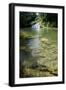 A Waterfall and Fish in the Rio Do Peixe in Bonito, Brazil-Alex Saberi-Framed Premium Photographic Print