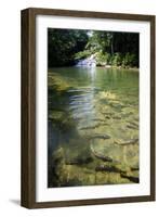 A Waterfall and Fish in the Rio Do Peixe in Bonito, Brazil-Alex Saberi-Framed Photographic Print