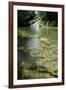 A Waterfall and Fish in the Rio Do Peixe in Bonito, Brazil-Alex Saberi-Framed Photographic Print
