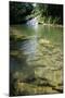 A Waterfall and Fish in the Rio Do Peixe in Bonito, Brazil-Alex Saberi-Mounted Photographic Print