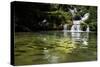 A Waterfall and Fish in the Rio Do Peixe in Bonito, Brazil-Alex Saberi-Stretched Canvas