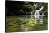 A Waterfall and Fish in the Rio Do Peixe in Bonito, Brazil-Alex Saberi-Stretched Canvas