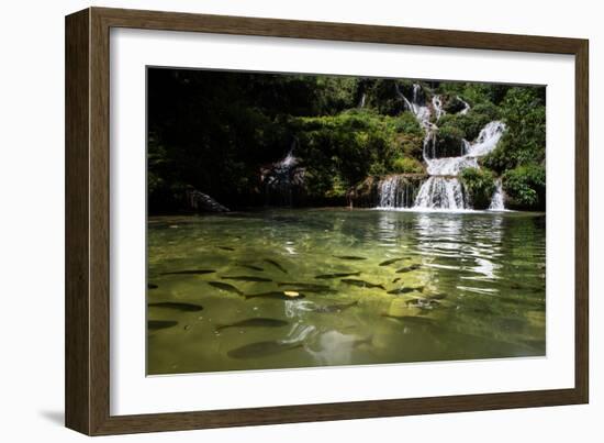 A Waterfall and Fish in the Rio Do Peixe in Bonito, Brazil-Alex Saberi-Framed Photographic Print