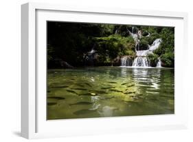 A Waterfall and Fish in the Rio Do Peixe in Bonito, Brazil-Alex Saberi-Framed Photographic Print