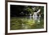 A Waterfall and Fish in the Rio Do Peixe in Bonito, Brazil-Alex Saberi-Framed Photographic Print