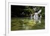 A Waterfall and Fish in the Rio Do Peixe in Bonito, Brazil-Alex Saberi-Framed Photographic Print