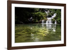 A Waterfall and Fish in the Rio Do Peixe in Bonito, Brazil-Alex Saberi-Framed Photographic Print