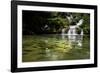 A Waterfall and Fish in the Rio Do Peixe in Bonito, Brazil-Alex Saberi-Framed Photographic Print