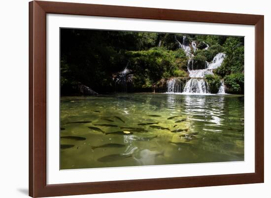 A Waterfall and Fish in the Rio Do Peixe in Bonito, Brazil-Alex Saberi-Framed Photographic Print