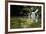 A Waterfall and Fish in the Rio Do Peixe in Bonito, Brazil-Alex Saberi-Framed Photographic Print