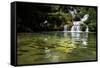 A Waterfall and Fish in the Rio Do Peixe in Bonito, Brazil-Alex Saberi-Framed Stretched Canvas