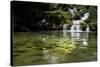 A Waterfall and Fish in the Rio Do Peixe in Bonito, Brazil-Alex Saberi-Stretched Canvas