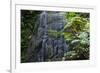 A Waterfall in the Mountain Jungles of the Serra Da Mantiqueira in Sao Paulo State-Alex Saberi-Framed Photographic Print