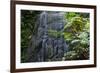 A Waterfall in the Mountain Jungles of the Serra Da Mantiqueira in Sao Paulo State-Alex Saberi-Framed Photographic Print