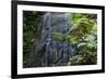 A Waterfall in the Mountain Jungles of the Serra Da Mantiqueira in Sao Paulo State-Alex Saberi-Framed Photographic Print