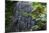 A Waterfall in the Mountain Jungles of the Serra Da Mantiqueira in Sao Paulo State-Alex Saberi-Mounted Photographic Print