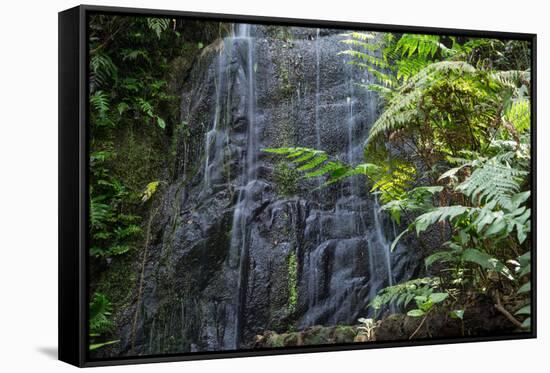 A Waterfall in the Mountain Jungles of the Serra Da Mantiqueira in Sao Paulo State-Alex Saberi-Framed Stretched Canvas