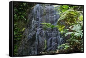 A Waterfall in the Mountain Jungles of the Serra Da Mantiqueira in Sao Paulo State-Alex Saberi-Framed Stretched Canvas