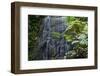 A Waterfall in the Mountain Jungles of the Serra Da Mantiqueira in Sao Paulo State-Alex Saberi-Framed Photographic Print