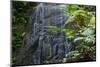A Waterfall in the Mountain Jungles of the Serra Da Mantiqueira in Sao Paulo State-Alex Saberi-Mounted Photographic Print