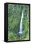 A waterfall on Chiloe Island, Northern Patagonia, Chile, South America-Alex Robinson-Framed Stretched Canvas