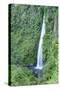 A waterfall on Chiloe Island, Northern Patagonia, Chile, South America-Alex Robinson-Stretched Canvas