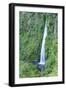 A waterfall on Chiloe Island, Northern Patagonia, Chile, South America-Alex Robinson-Framed Photographic Print