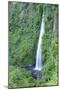 A waterfall on Chiloe Island, Northern Patagonia, Chile, South America-Alex Robinson-Mounted Photographic Print