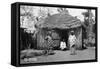 A Wattle House, Bathurst, Gambia, 20th Century-null-Framed Stretched Canvas